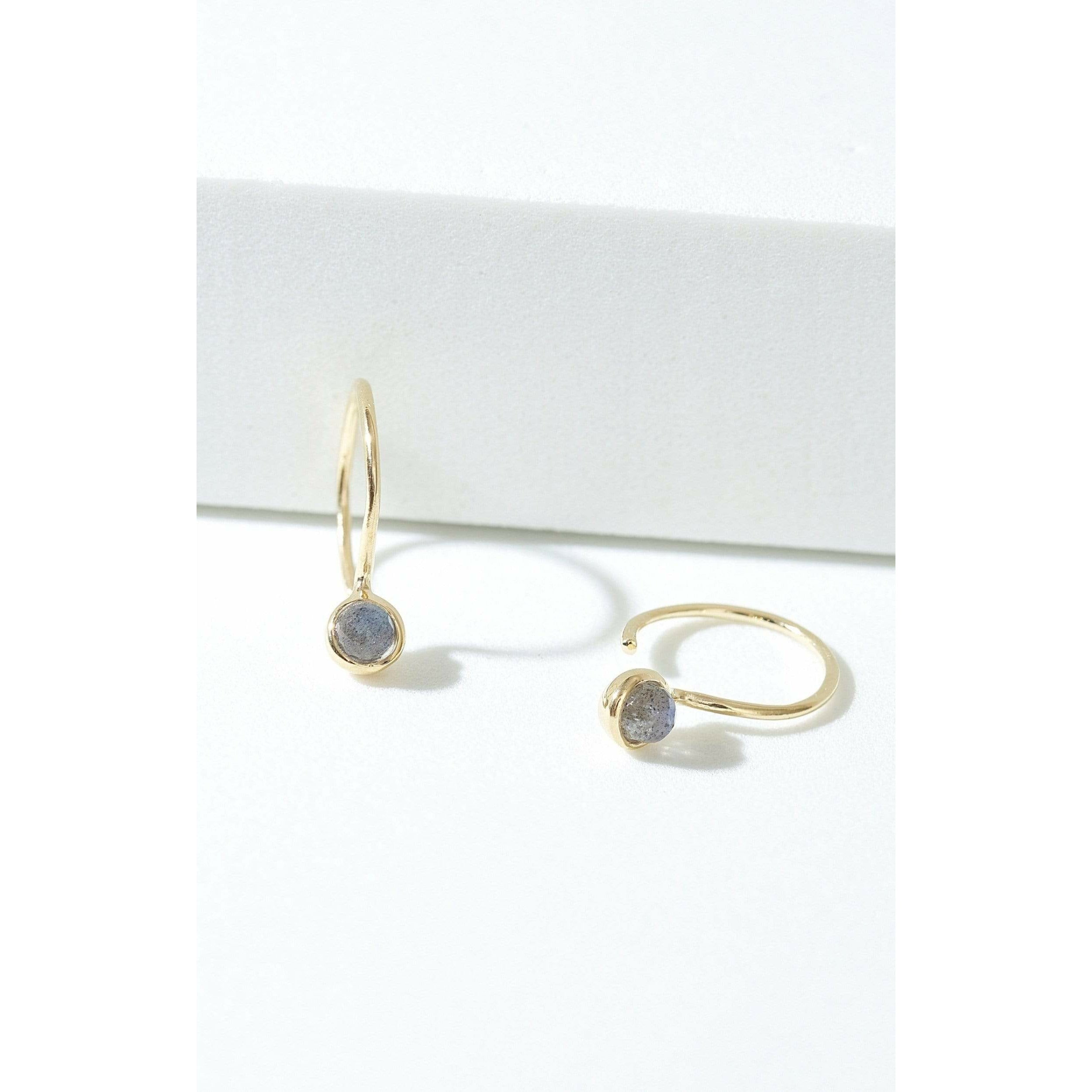 Fervor Montreal Earrings Labradorite Petite Earrings