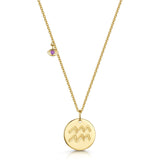 Fervor Montreal Necklace Aquarius Double-Sided Zodiac & Constellation Necklace